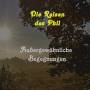 umschlagepubneu310121.jpg